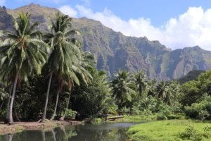 Hike to Vaipo Waterfall - Hakaui Valley - nuku hiva - marquesas islands - french polynesia