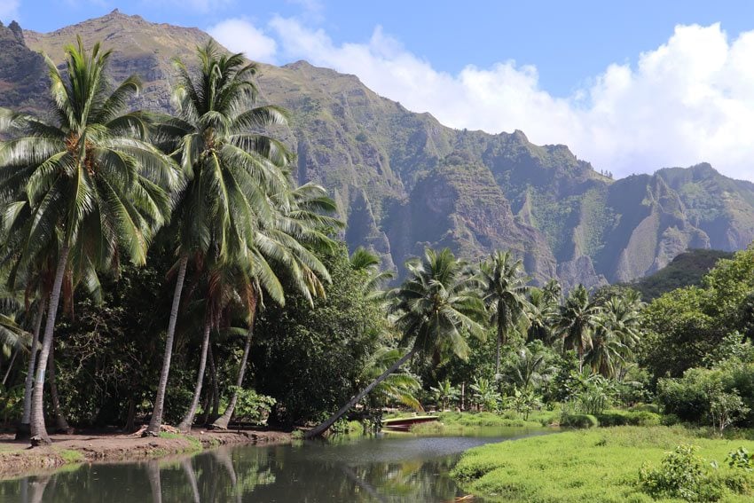 Hike to Vaipo Waterfall - Hakaui Valley - nuku hiva - marquesas islands - french polynesia