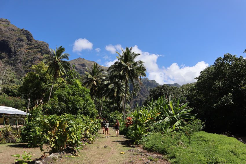 Vaipo Waterfall Hike - Hakaui Valley - nuku hiva - marquesas islands - french polynesia