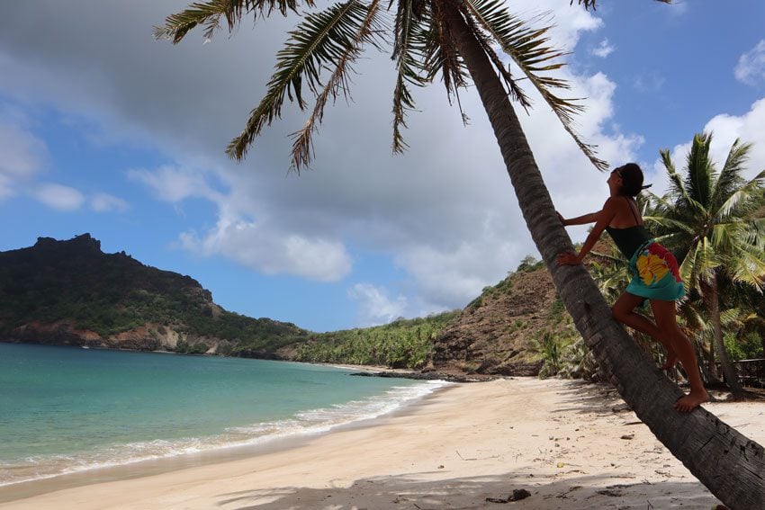 dricia climbing coconut tree in Anaho Bay - nuku hiva - marquesas islands - french polynesia