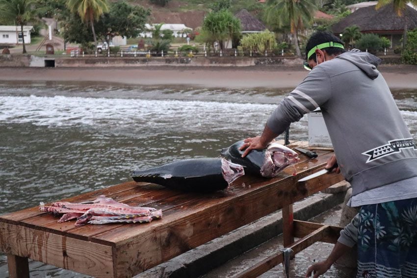 fisherman cleaning tuna - nuku hiva - marquesas islands - french polynesia