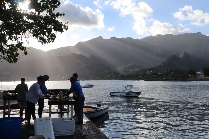 fishermen cleaning fish Taiohae - nuku hiva - marquesas islands - french polynesia