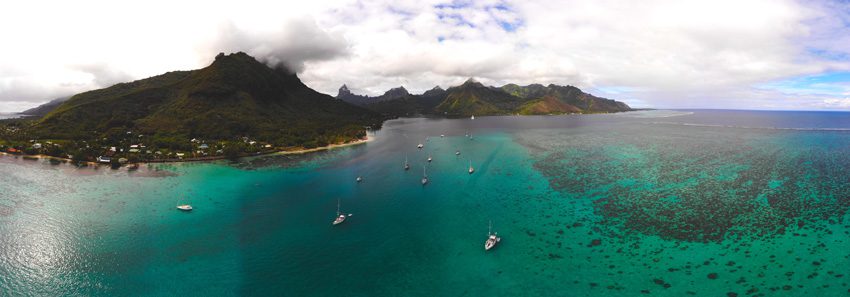 panoramic view opunohu bay moorea - french polynesia