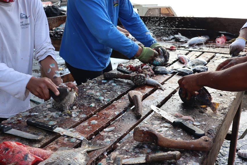 saturday fish market - nuku hiva - marquesas islands - french polynesia