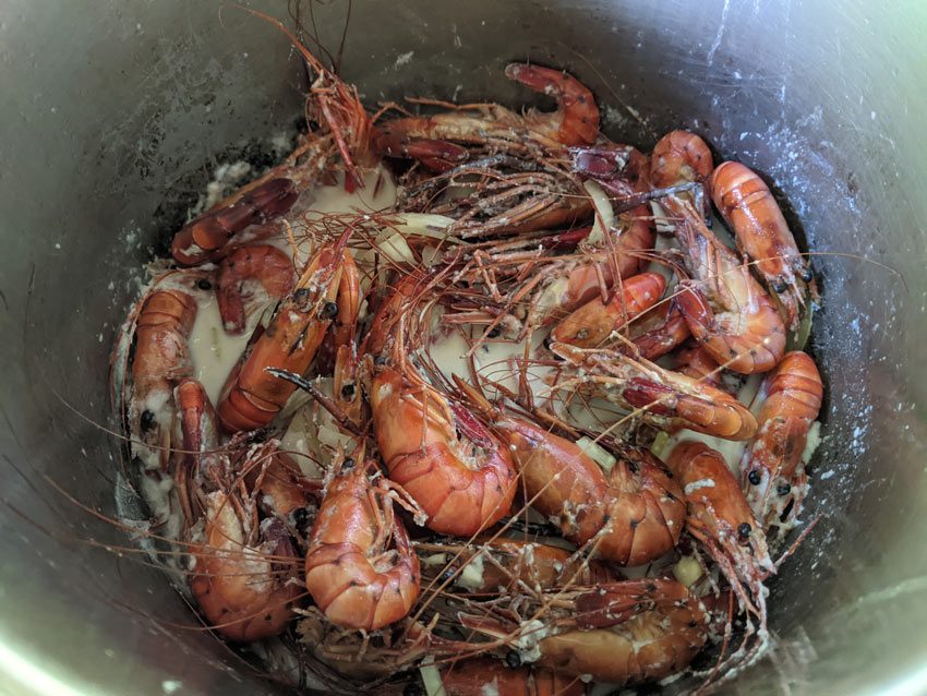 shrimps in coconut milk lunch at Ana and Tangy - Hakaui Valley - nuku hiva - marquesas islands - french polynesia