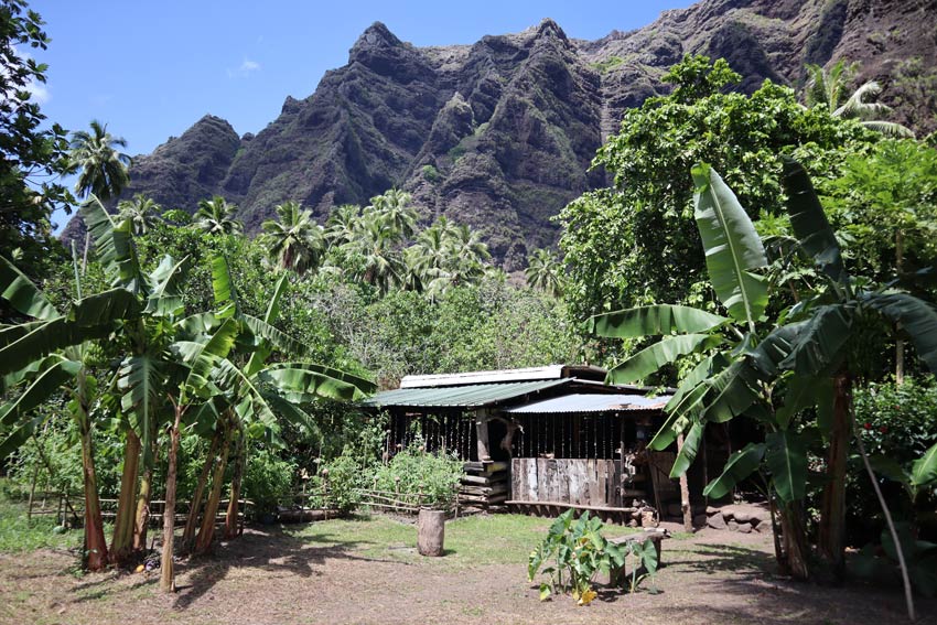 traditional marquesan home lunch at Ana and Tangy - Hakaui Valley - nuku hiva - marquesas islands - french polynesia