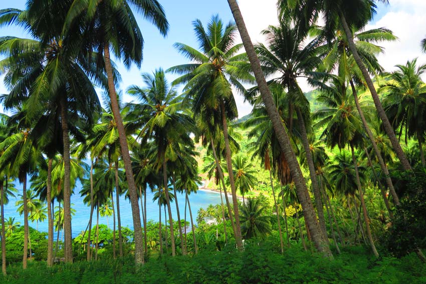 Hanapaaoa - Hiva Oa Marquesas Islands French Polynesia