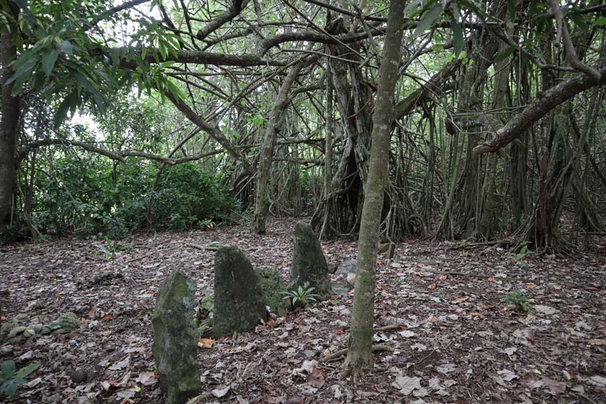 Marae Raitoru ancient temple Tubuai - Austral Islands - French Polynesia