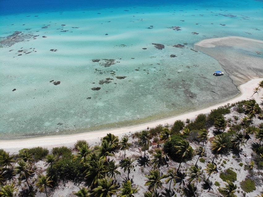 Pink sand beach Tikehau French Polynesia