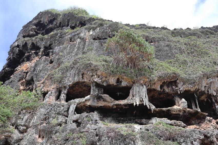 exterior of limestine caves in Rurutu - Austral Islands - French Polynesia