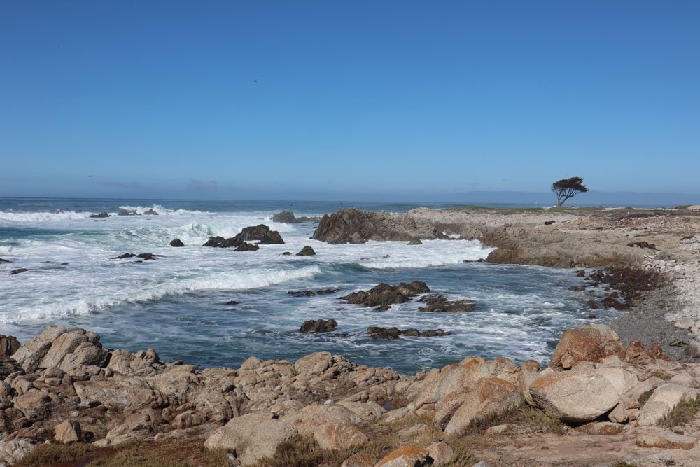 seal rock - 17 mile drive - pacific coast highway