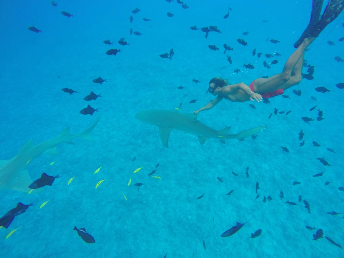 Bora-Bora-lagoon-tour-guide-riding-shark