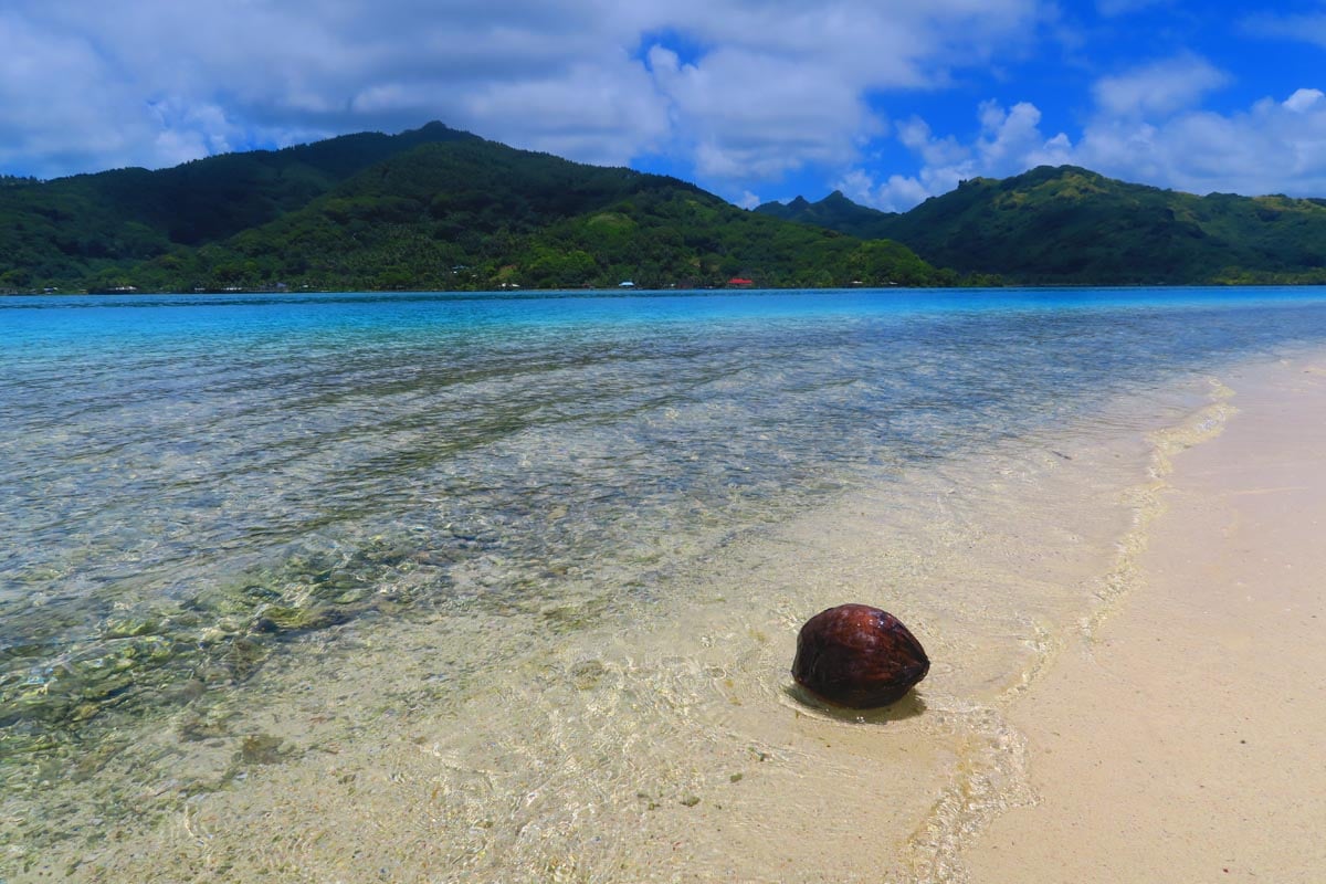 Huahine Lagoon Tour - coconut on beach