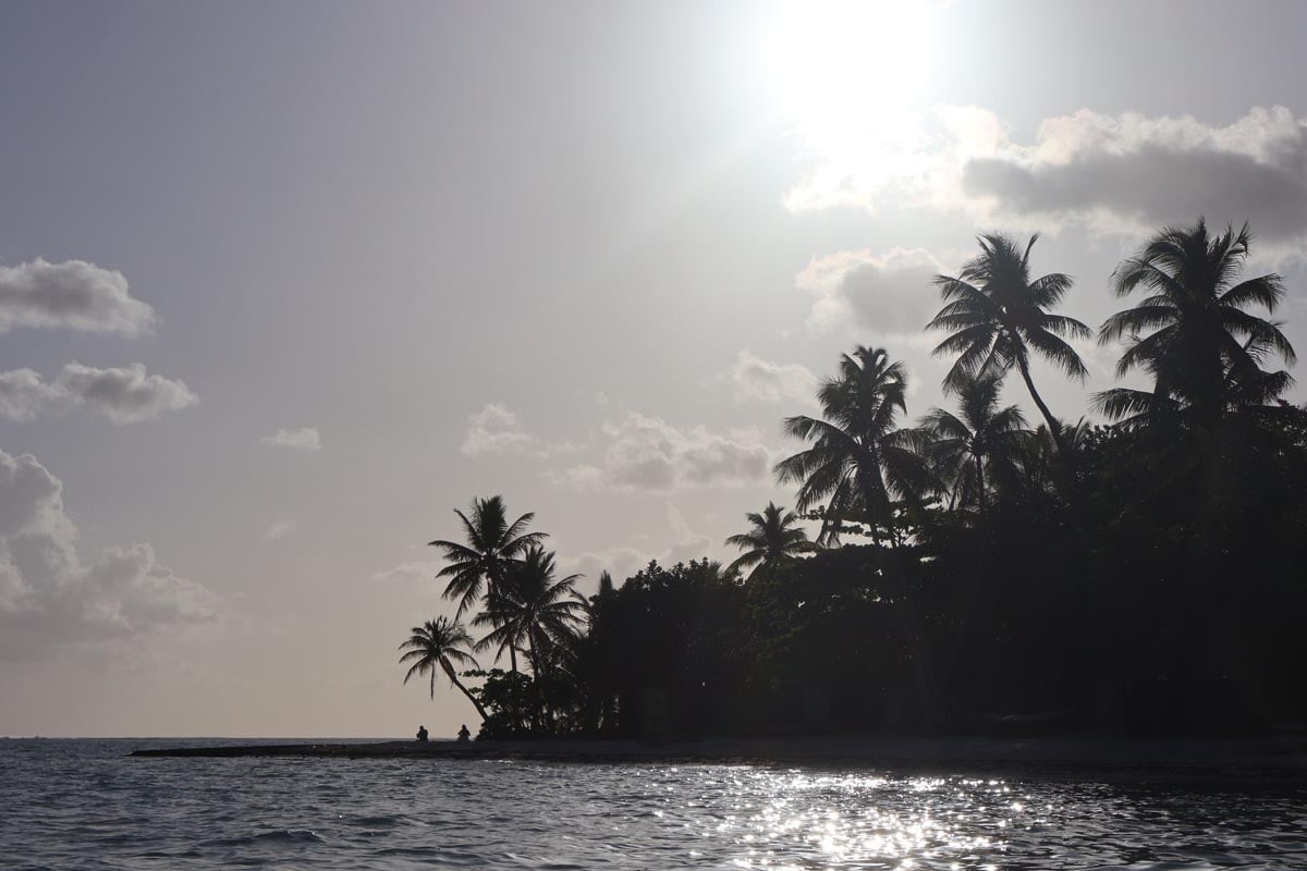 Le Tahaa Resort - sun shining on coconut palms
