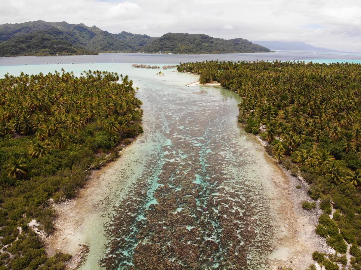 Motu-Tautau-the-coral-garden-tahaa