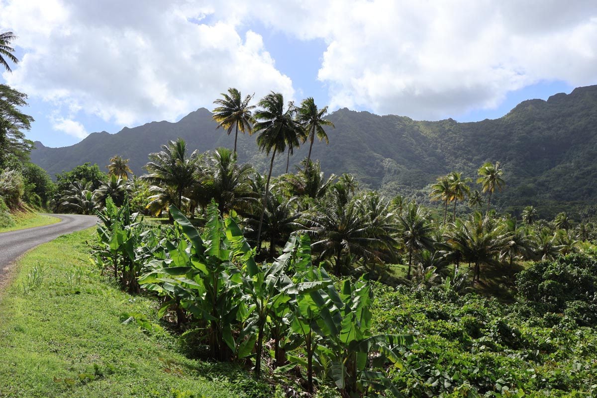 Mountain pass- Tahaa - French Polynesia
