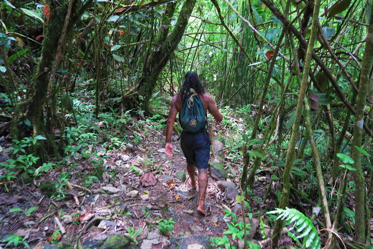 Papenoo Valley - Tahiti - hike to Maroto waterfall