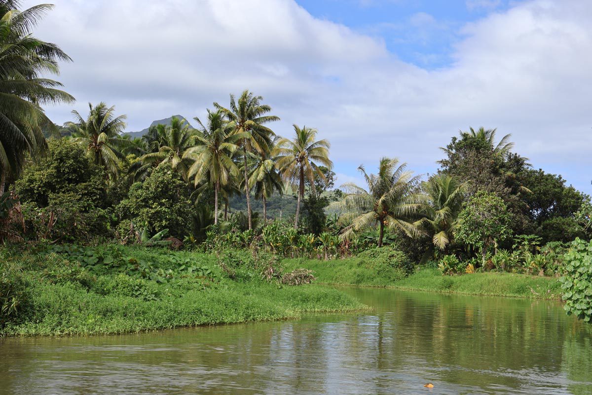 Raiatea Botanical Garden - Faaroa River