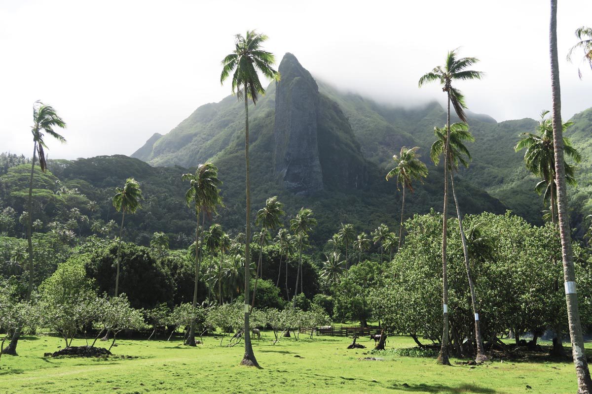 Sharp cliff in Raiatea south coast