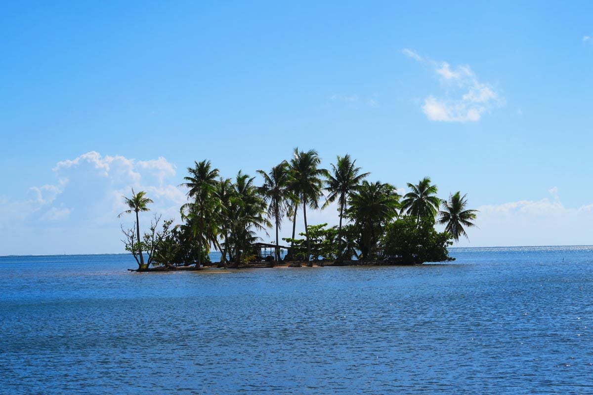 Small motu with palm trees and shack - Raiatea