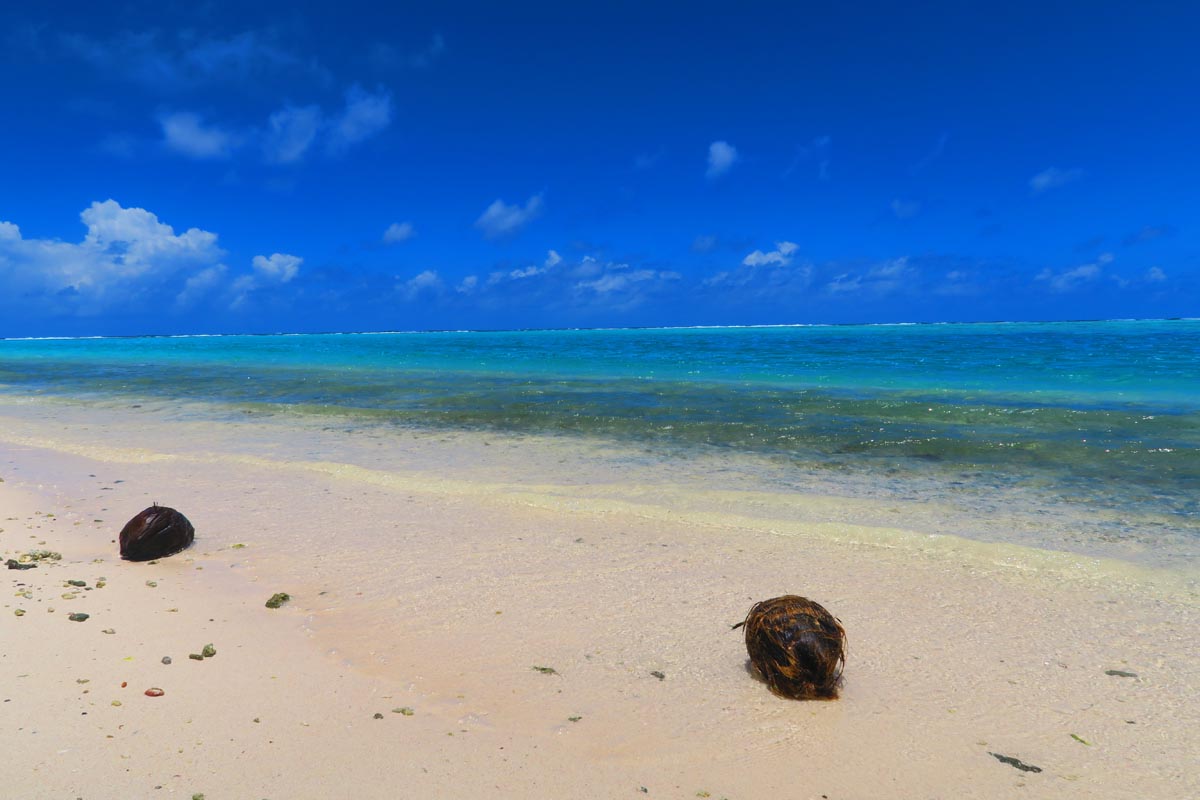 The Old Sofitel Beach - Huaine - coconuts