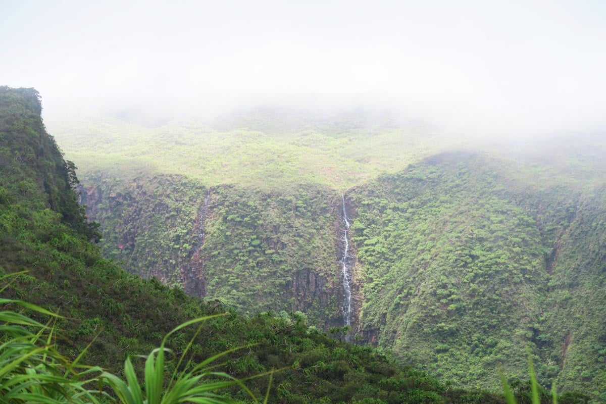 Tiare Apetahi rare flower - Temehani Plateau Hike - waterfalls - Raiatea