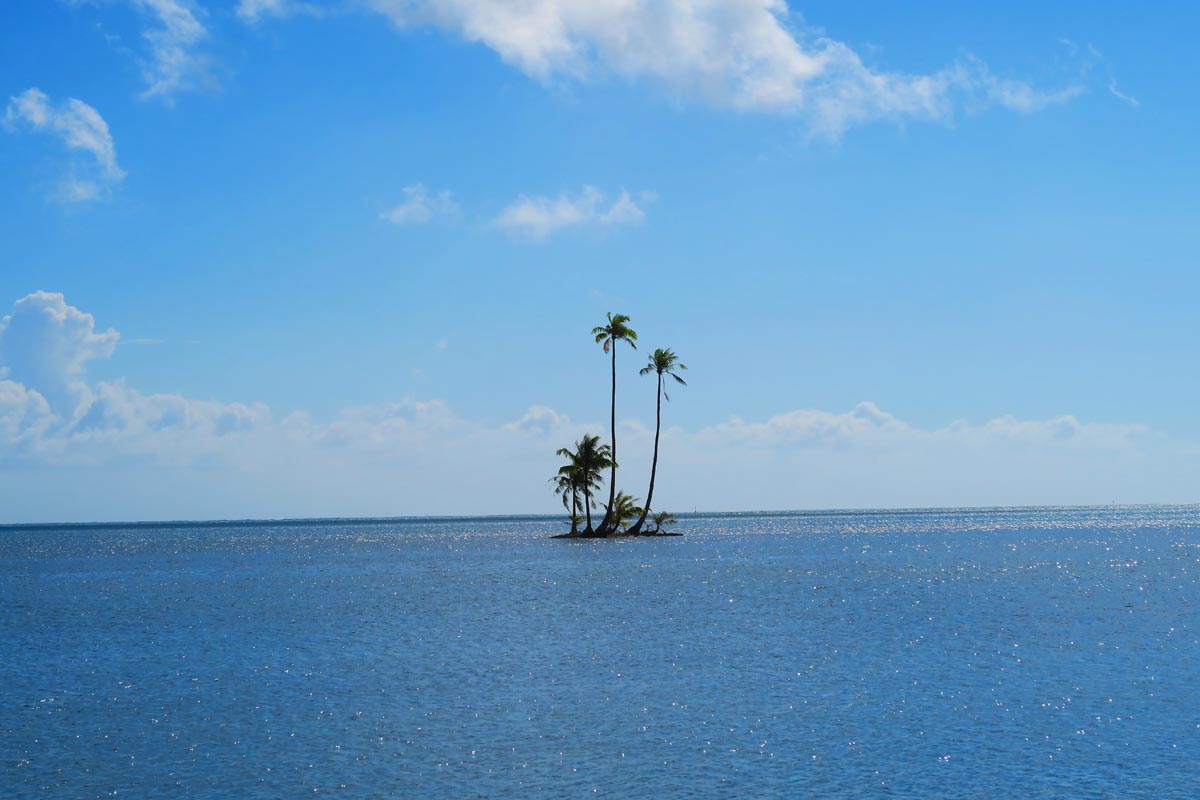 Tiny islet with coconut palms - Raiatea