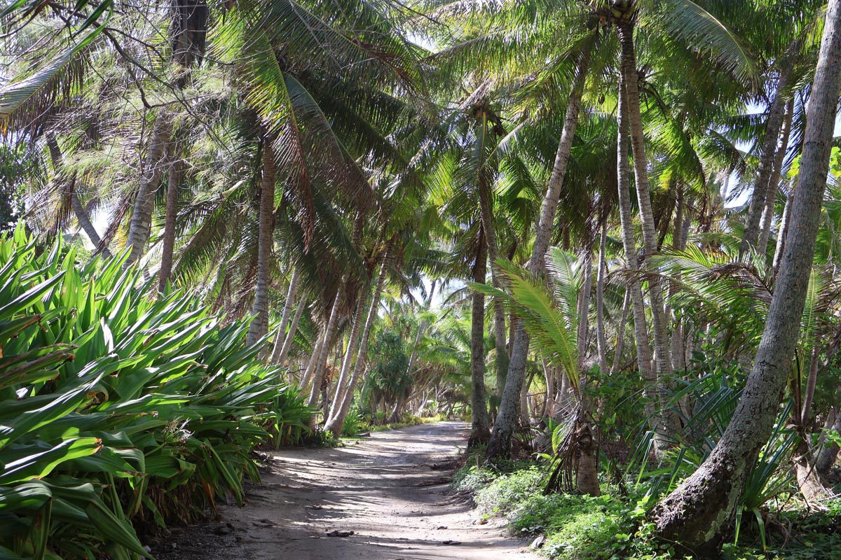 dirt road in Motu Ovarei - Huahine