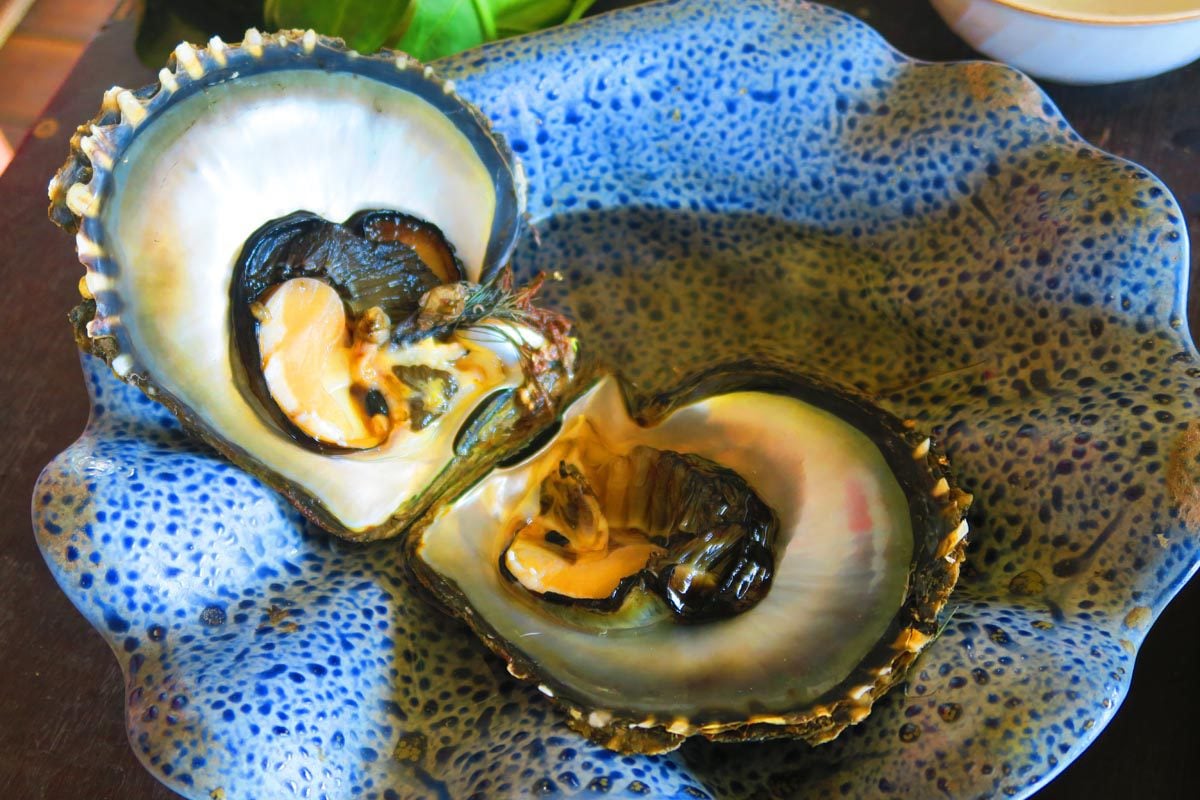 open black pearl oyster in Huahine