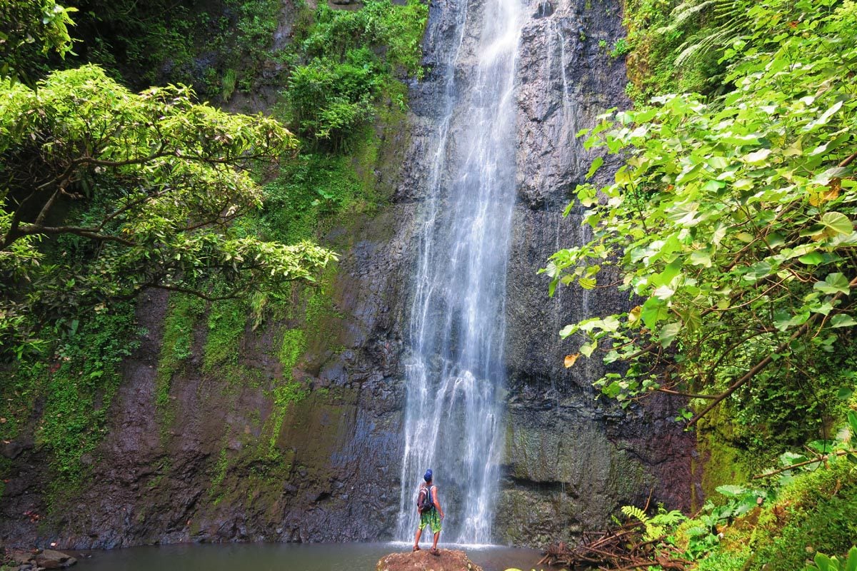 Afareaitu Waterfall Hike - Moorea
