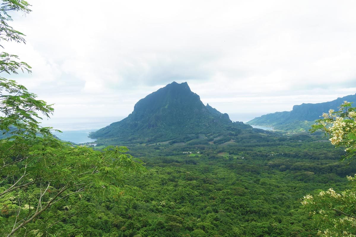 Three Coconuts Hike - Moorea - the viewpoint