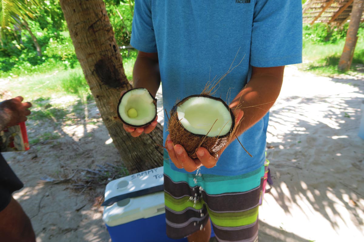 Maupiti lagoon tour - motu picnic - cracking coconut
