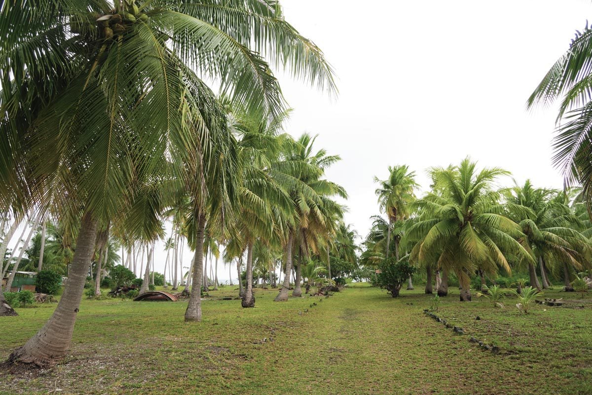 Tetamanu Village - Fakarava South