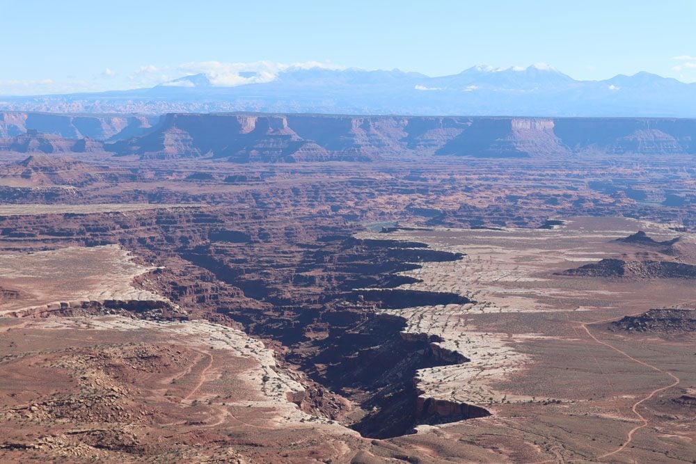 Buck canyon overlook - island in the sky - canyonlands national park utah - closeup