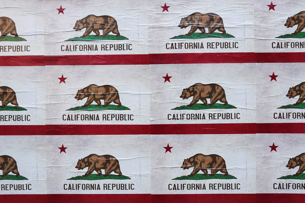 California republic bear logo in San Francisco mission district
