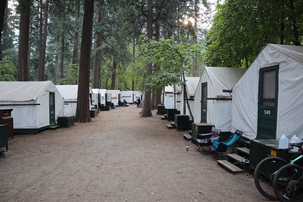 Curry Village Yosemite accommodation