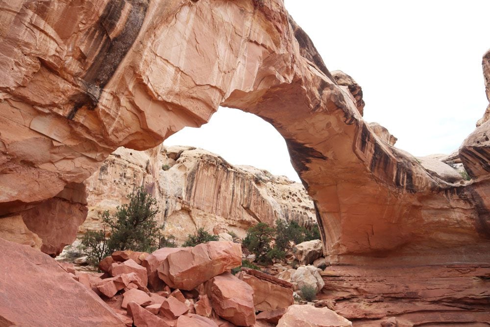 Hickman Bridge Hike - Capitol Reef - Utah