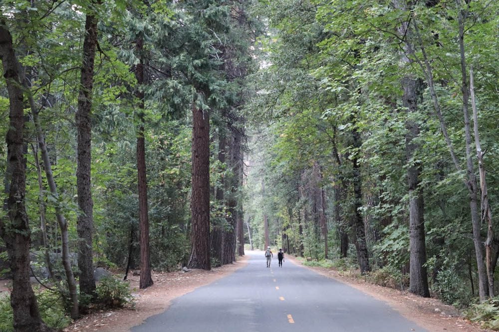 Hiker on road in Yosemite Valley