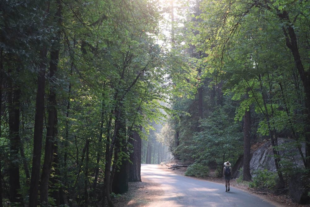 Hiker on road to Mirror Lake - Yosemite National Park