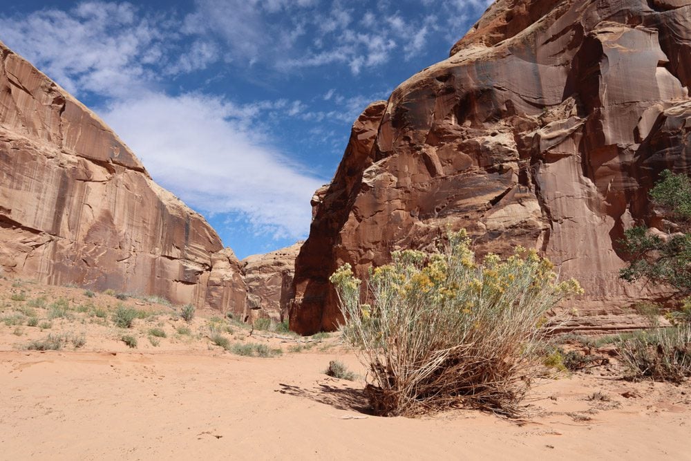 Horseshoe canyon - canyonlands national park - utah