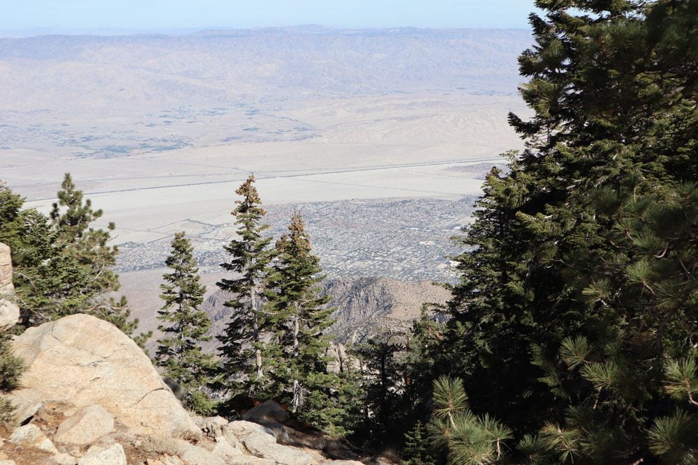 Palm springs from Mount San Jacinto State Park