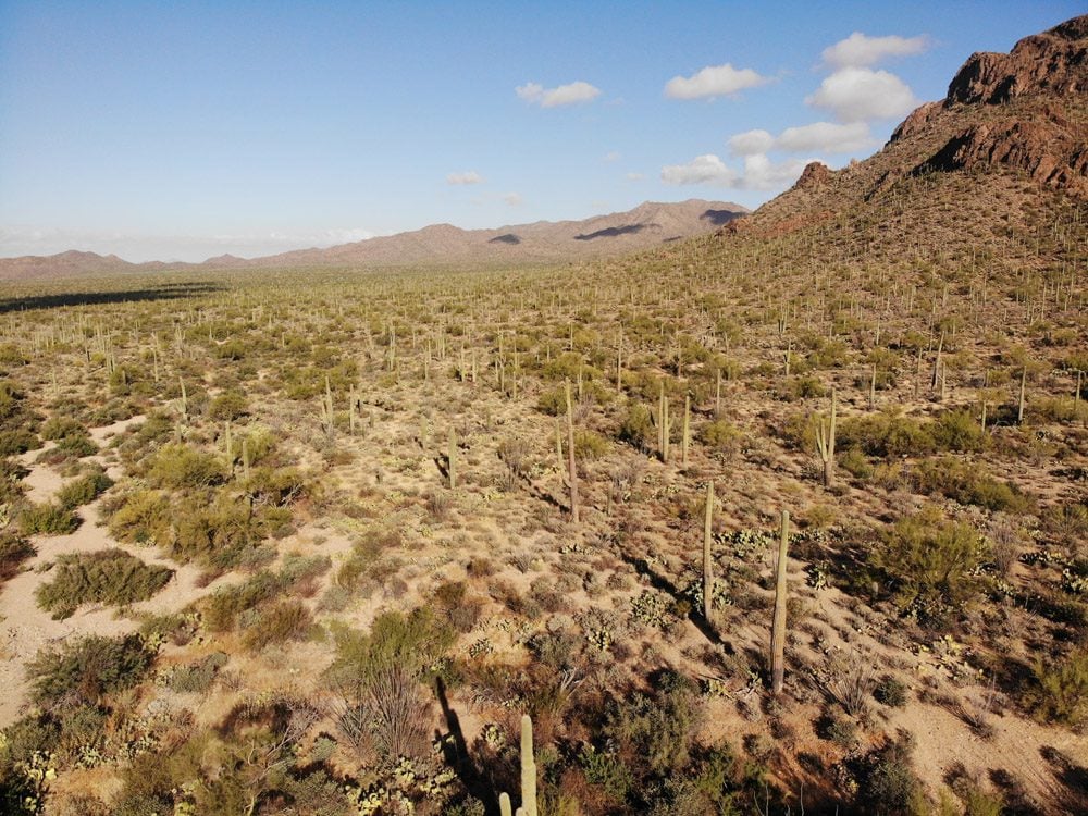 Saguaro-National-Park-arizonoa-aerial-view