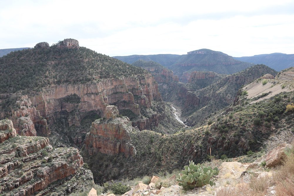 Salt Creek Canyon arizona