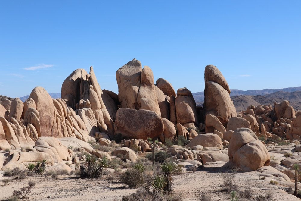 arch rock trail - Joshua Tree National Park