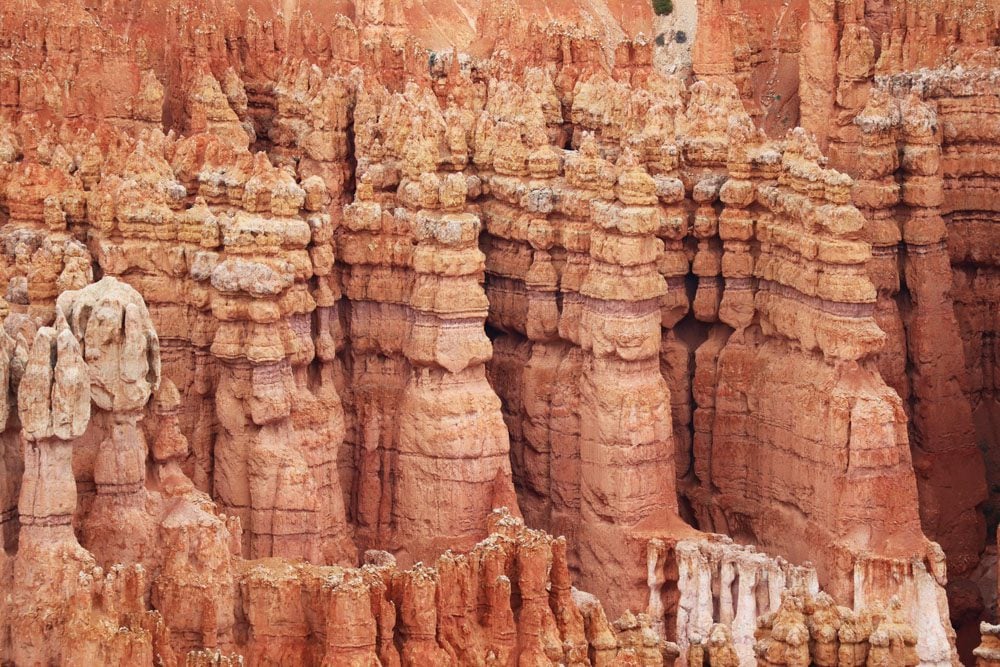 closeup of hoodoos in bryce canyon