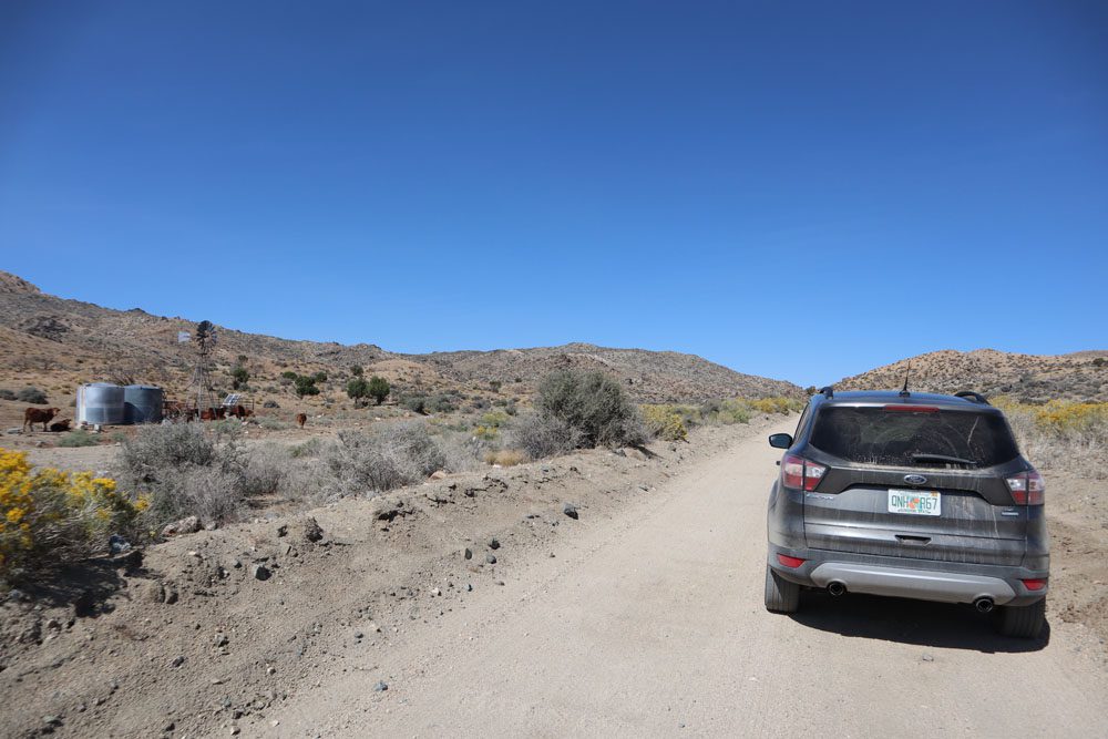 dirt road in Mojave National Preserve