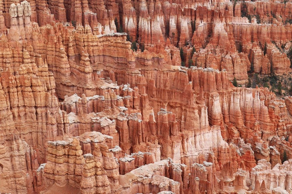 hoodoos at Bryce Canyon national park