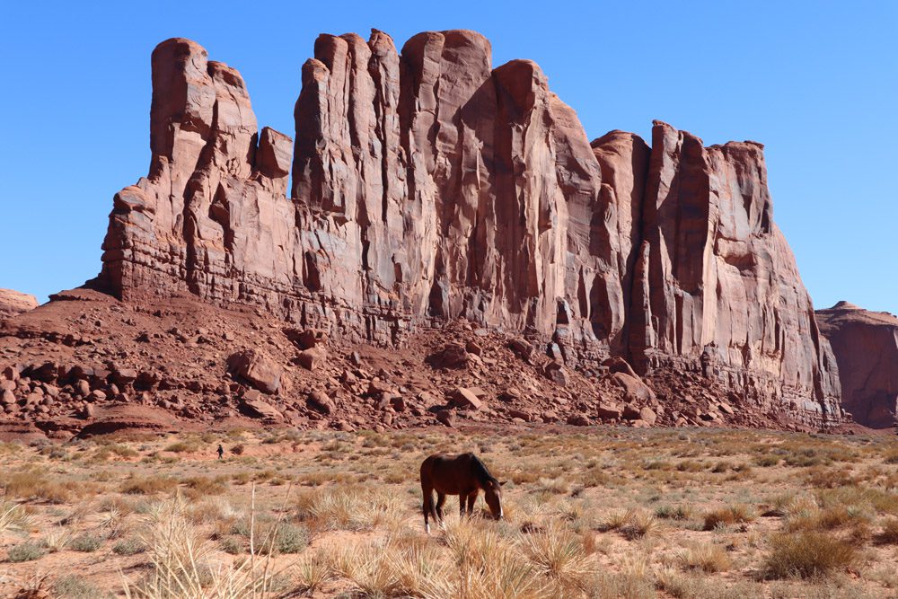 horse in monument valley scenic drive