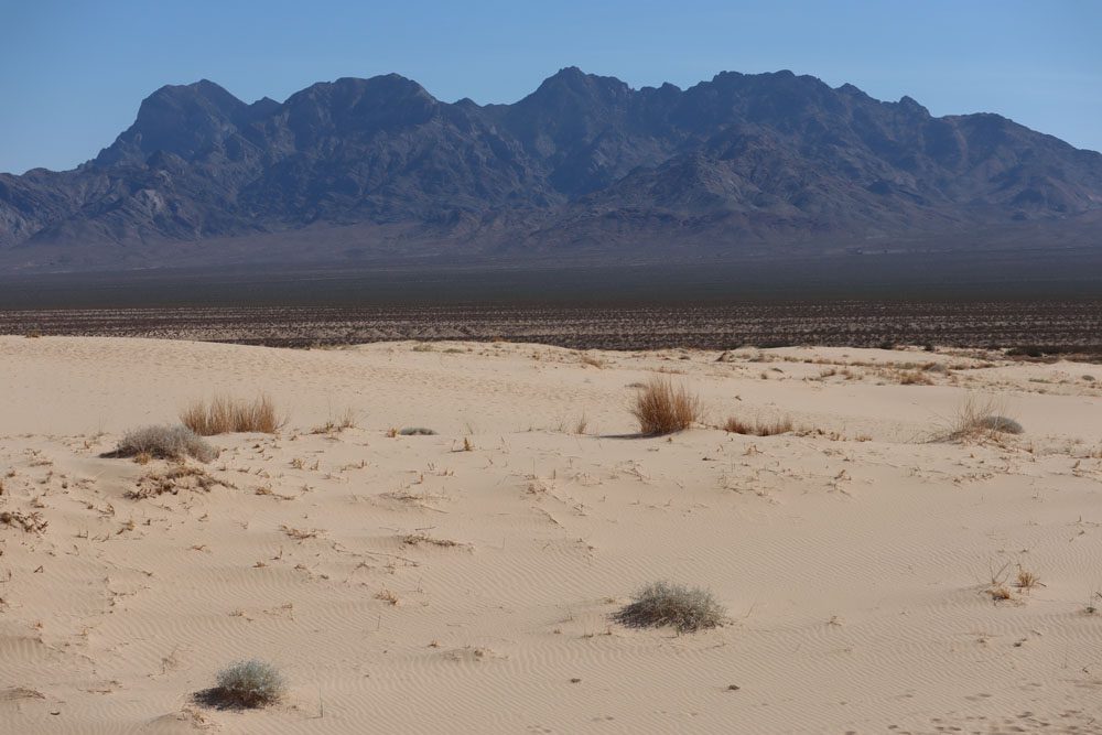 kelso dunes Mojave National Preserve