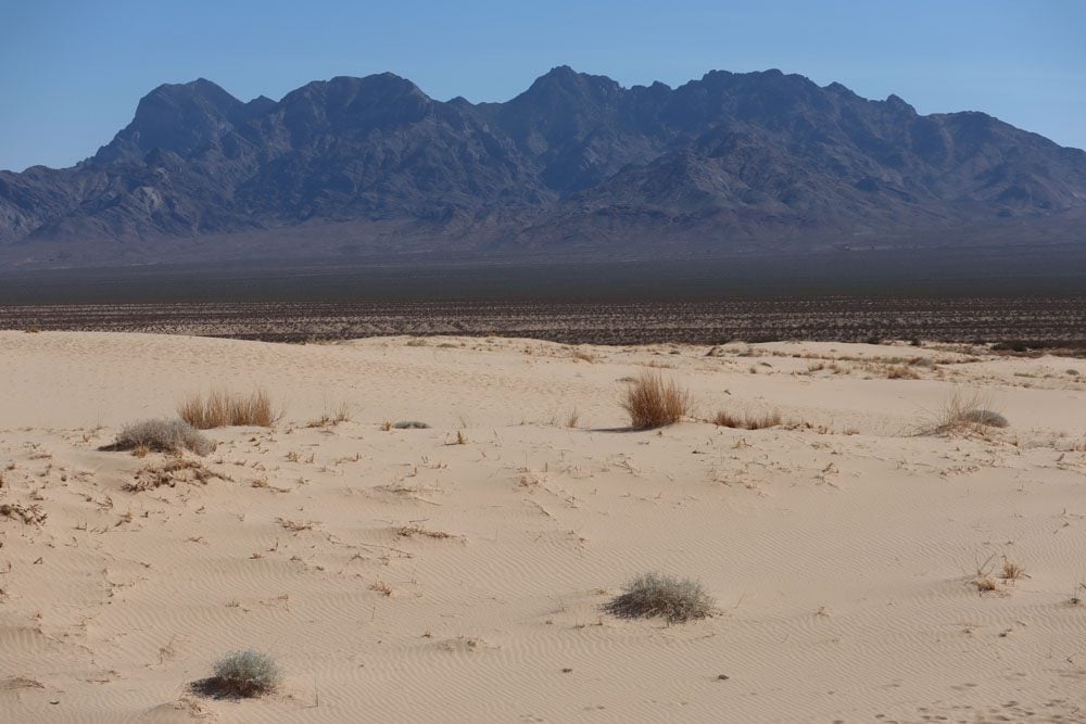 Las Vegas Tourist Guide: The Mojave Desert - Travel & Discover 